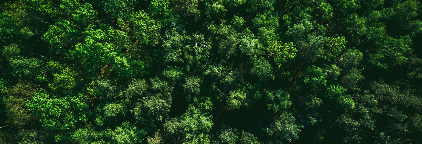 Sustainability